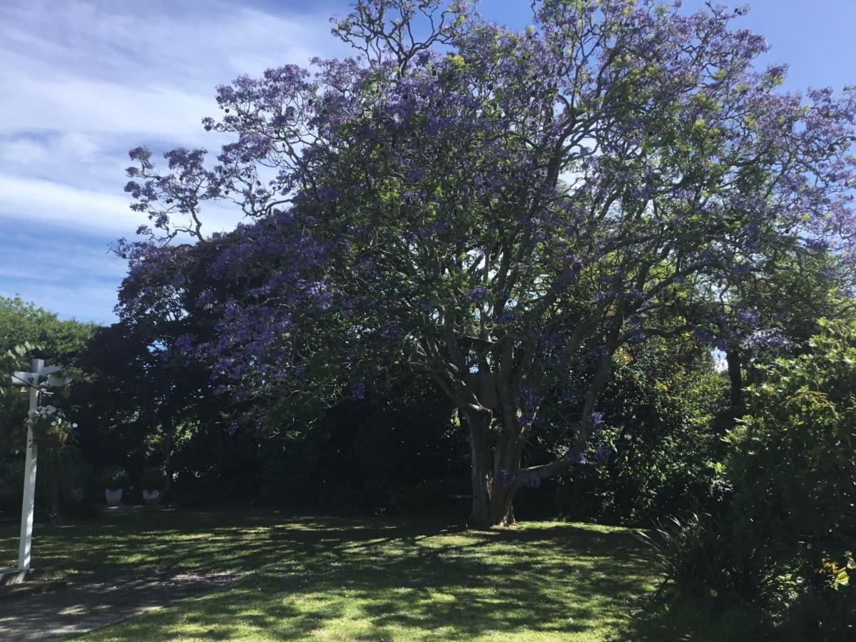 Pa Road B&B Kerikeri Nz エクステリア 写真